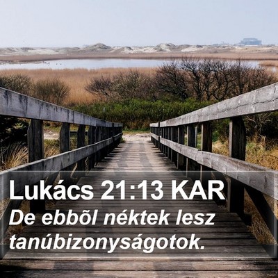 Lukács 21:13 KAR Bible Verse Image