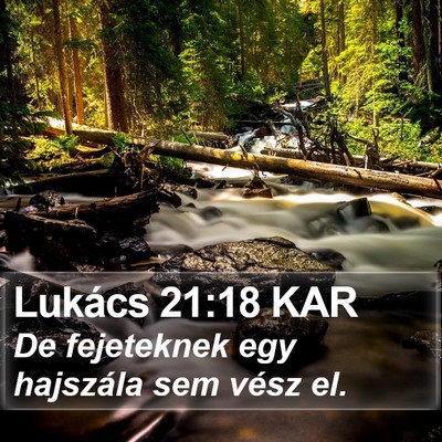 Lukács 21:18 KAR Bible Verse Image