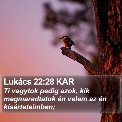 Lukács 22:28 KAR Bible Verse Image