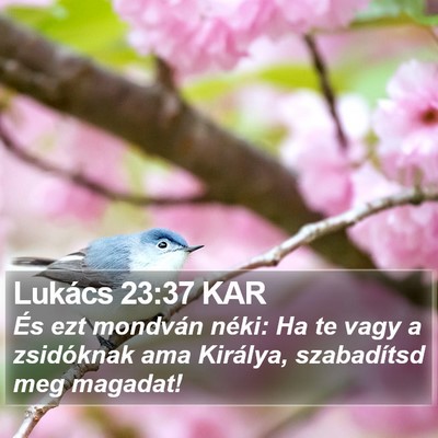 Lukács 23:37 KAR Bible Verse Image