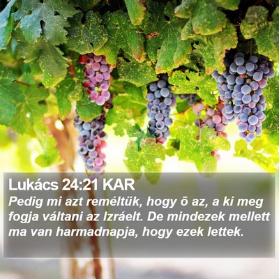 Lukács 24:21 KAR Bible Verse Image