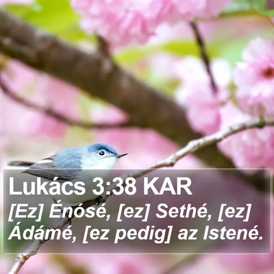 Lukács 3:38 KAR Bible Verse Image