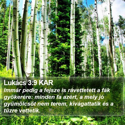Lukács 3:9 KAR Bible Verse Image