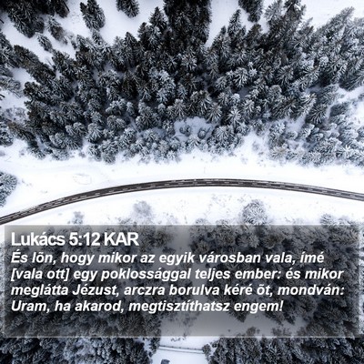 Lukács 5:12 KAR Bible Verse Image