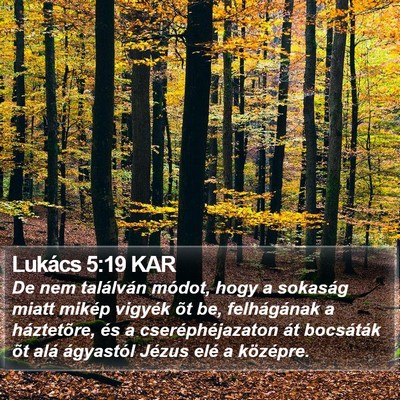 Lukács 5:19 KAR Bible Verse Image