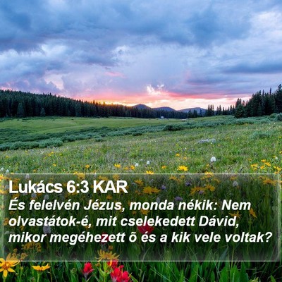 Lukács 6:3 KAR Bible Verse Image