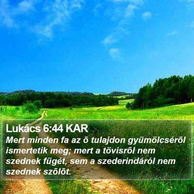Lukács 6:44 KAR Bible Verse Image