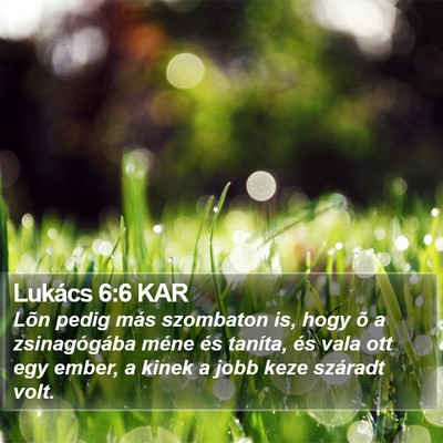 Lukács 6:6 KAR Bible Verse Image