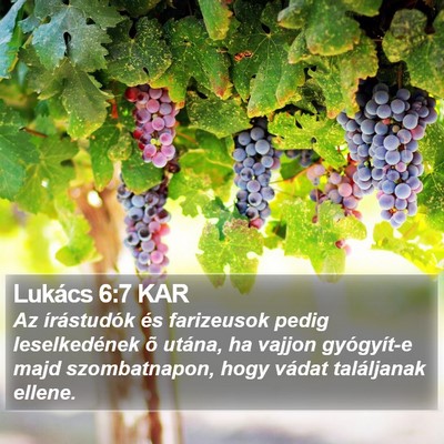 Lukács 6:7 KAR Bible Verse Image