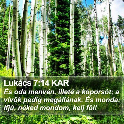Lukács 7:14 KAR Bible Verse Image