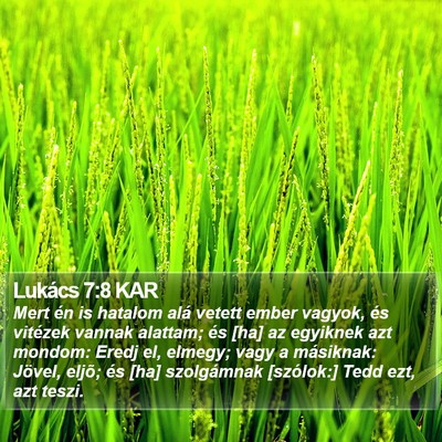 Lukács 7:8 KAR Bible Verse Image