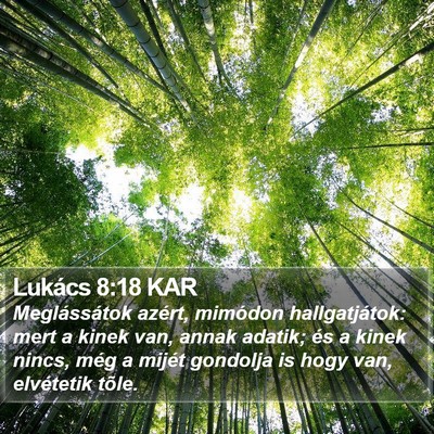 Lukács 8:18 KAR Bible Verse Image
