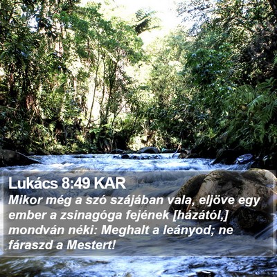 Lukács 8:49 KAR Bible Verse Image