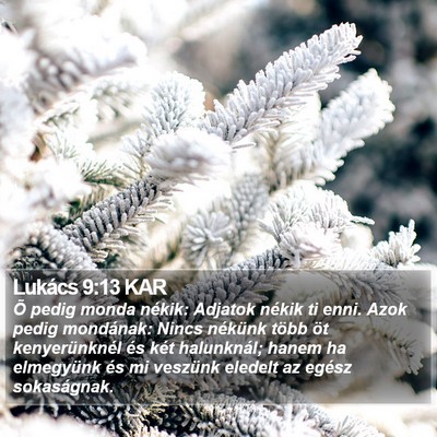 Lukács 9:13 KAR Bible Verse Image