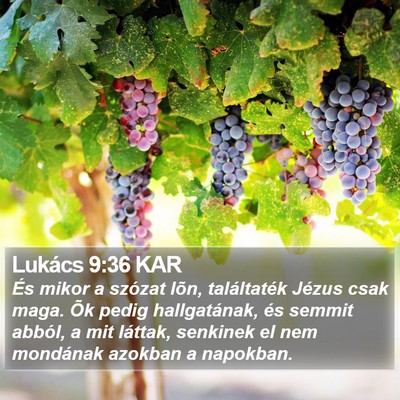 Lukács 9:36 KAR Bible Verse Image