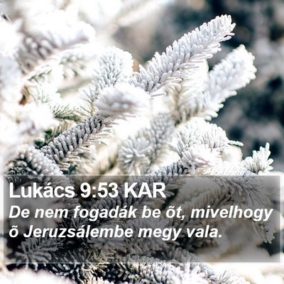 Lukács 9:53 KAR Bible Verse Image