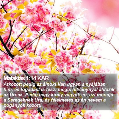 Malakiás 1:14 KAR Bible Verse Image