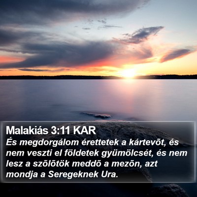 Malakiás 3:11 KAR Bible Verse Image