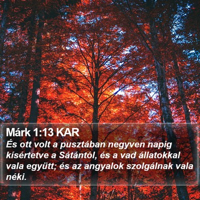 Márk 1:13 KAR Bible Verse Image