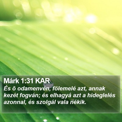 Márk 1:31 KAR Bible Verse Image