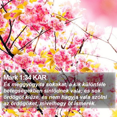 Márk 1:34 KAR Bible Verse Image