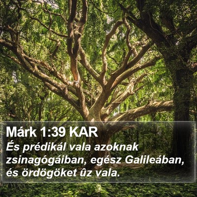 Márk 1:39 KAR Bible Verse Image