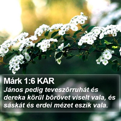 Márk 1:6 KAR Bible Verse Image