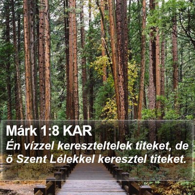 Márk 1:8 KAR Bible Verse Image