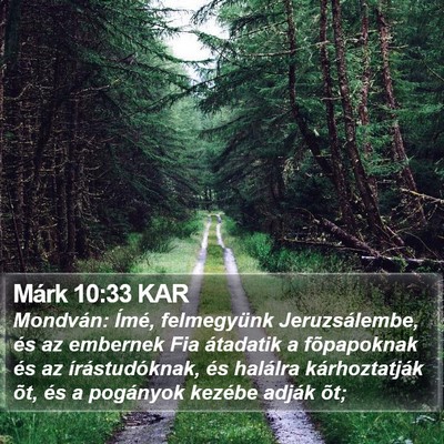 Márk 10:33 KAR Bible Verse Image