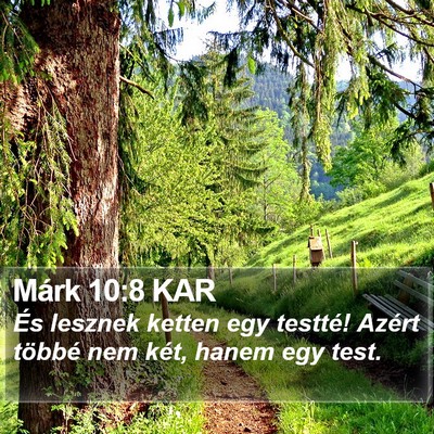Márk 10:8 KAR Bible Verse Image