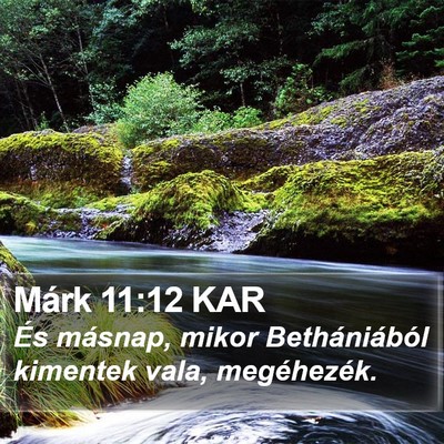 Márk 11:12 KAR Bible Verse Image