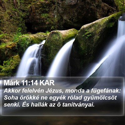 Márk 11:14 KAR Bible Verse Image