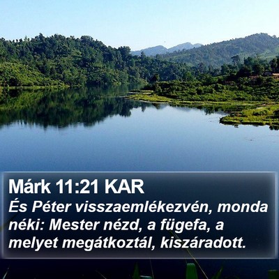 Márk 11:21 KAR Bible Verse Image