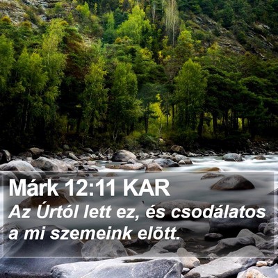 Márk 12:11 KAR Bible Verse Image