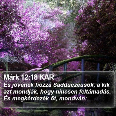 Márk 12:18 KAR Bible Verse Image
