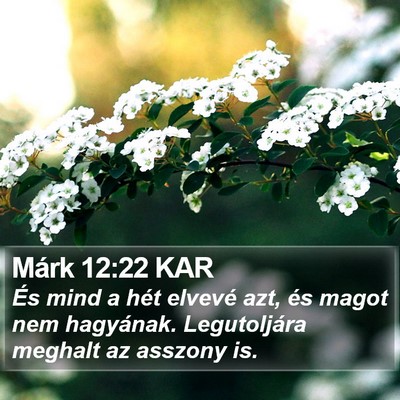 Márk 12:22 KAR Bible Verse Image