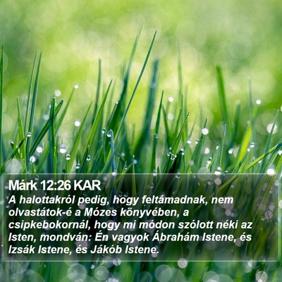 Márk 12:26 KAR Bible Verse Image
