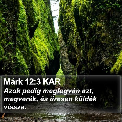 Márk 12:3 KAR Bible Verse Image