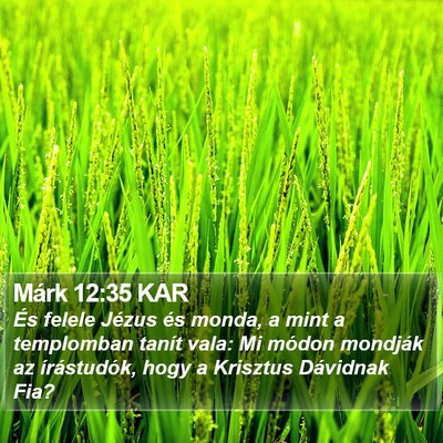 Márk 12:35 KAR Bible Verse Image