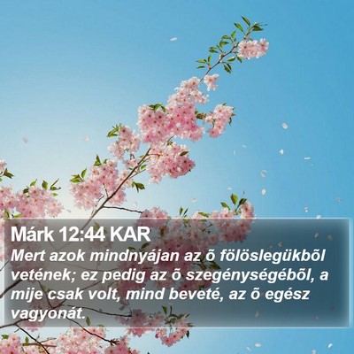 Márk 12:44 KAR Bible Verse Image