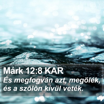 Márk 12:8 KAR Bible Verse Image