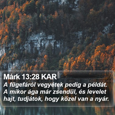 Márk 13:28 KAR Bible Verse Image