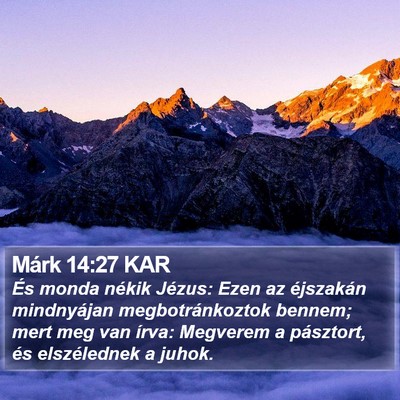 Márk 14:27 KAR Bible Verse Image