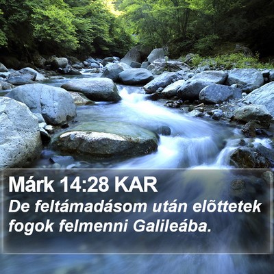 Márk 14:28 KAR Bible Verse Image