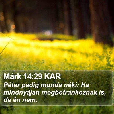 Márk 14:29 KAR Bible Verse Image