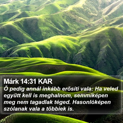 Márk 14:31 KAR Bible Verse Image