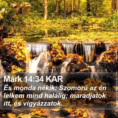 Márk 14:34 KAR Bible Verse Image