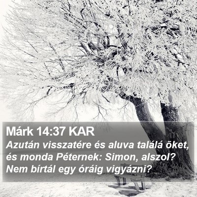 Márk 14:37 KAR Bible Verse Image