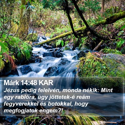 Márk 14:48 KAR Bible Verse Image