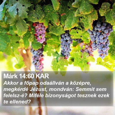 Márk 14:60 KAR Bible Verse Image